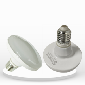 ampoule etanche 12w 24v